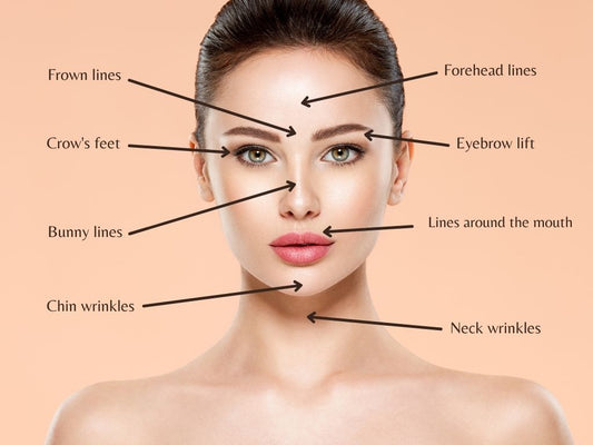 Letybo, Botox, Jeuveau, Xeomin (Botulinum toxin)
